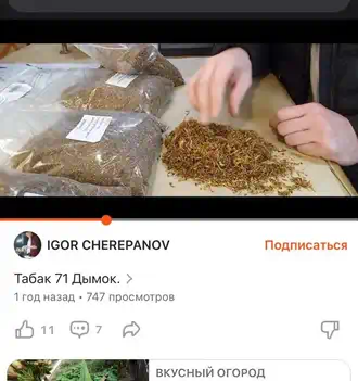 IGOR CHEREPANOV